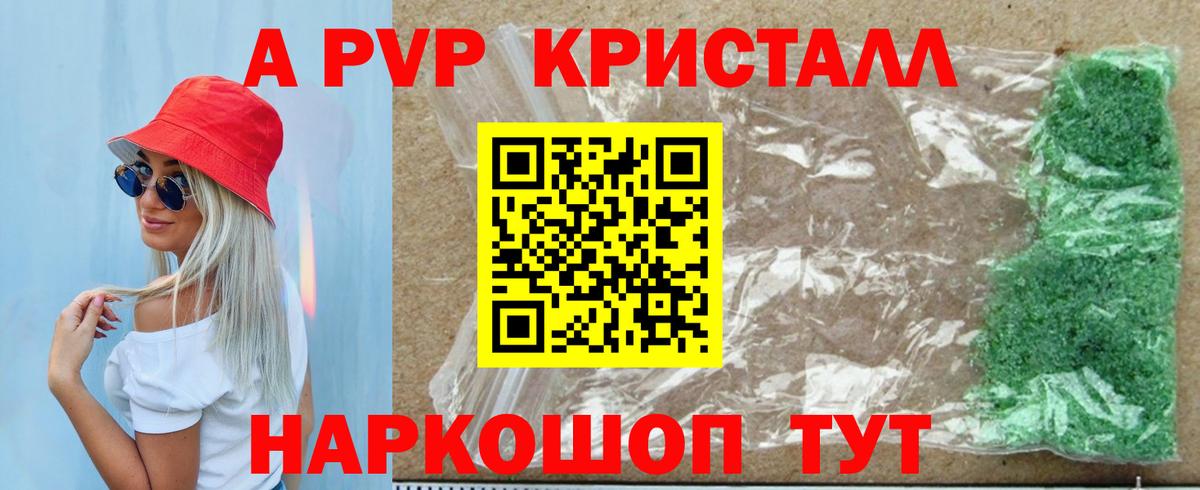 Альфа ПВП СК Салехард
