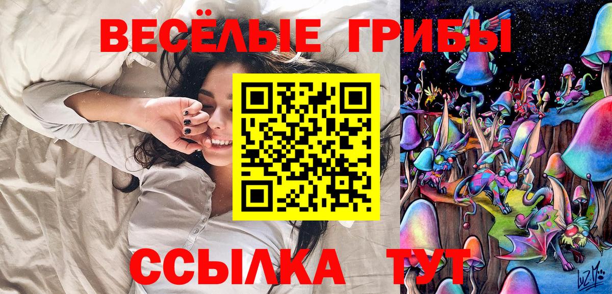 Салехард  Галлюциногенные грибы Psilocybe  Псилоцибиновые грибы Psilocybe  купить наркотик  Вход с VPN 
