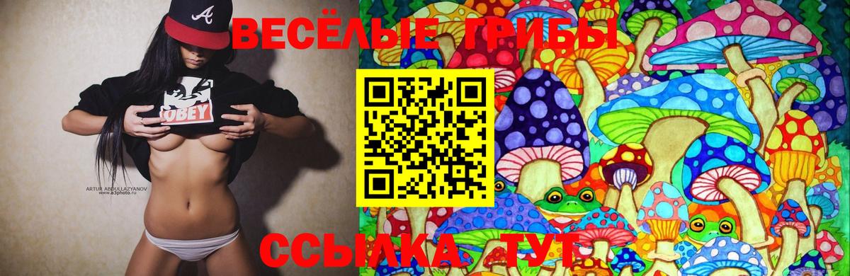 Псилоцибиновые грибы мицелий Салехард